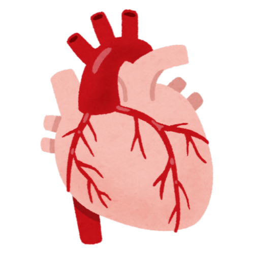 Cardiac Conditions Treatment