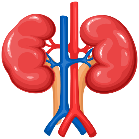 Kidney Disease